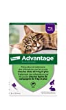 ADVANTAGE Cat – Anti-Flea voor katten – 4KG en meer - 6 Pipetten