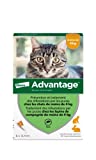 ADVANTAGE Cat – Anti-Flea voor katten – Minder dan 4KG – 6 Pipetten