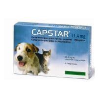 Capstar tablet - anti-vlooien kleine hond en kat
