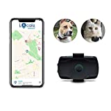 LOCALIZ GPS tracker voor kat en kleine hond. De Lookat Tracker is de enige GPS die wordt gebruikt in de show The Secret Life of Cats