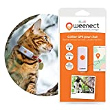 GPS halsband voor katten - Weenect | N°1 in Frankrijk | Real-time GPS-tracking| Geen limietafstand| Kleinste model op de markt| Werkt met abonnement (alleen Plotter)